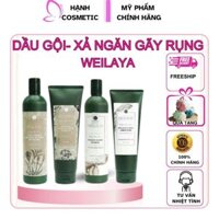 Cặp Dầu Gội Xã Thảo Dược Weilaiya Gừng Hà Thủ Ô Giúp Mọc Tóc 400ml