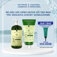 Cặp dầu gội xả tóc thảo dược Weilaiya gừng giúp kích thích mọc tóc gấp đôi hiệu quả cho da khô, da thường, da dầu