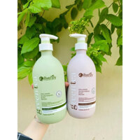 CẶP DẦU GỘI XẢ TRÀ XANH PHỤC HỒI NGĂN NGỪA RỤNG TÓC VÀ KÍCH THÍCH MỌC TÓC EILLYELSTY SIÊU THỊ TKMART