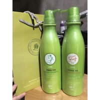 cặp dầu gội xả trà xanh