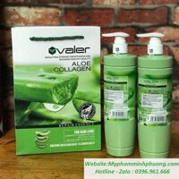 CẶP DẦU GỘI XẢ TRỊ RỤNG TÓC NHA ĐAM LÔ HỘI TÁI SINH VALER COLLAGEN ALOE ESSENCE