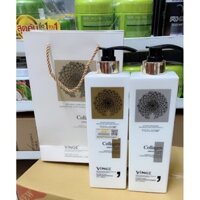 cặp dầu gội xả vinge collagen 1000ml