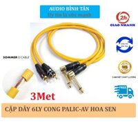 Cặp dây Canon ra AV hoa sen sommer cable, 1 đầu Jack canon đực Jack AV nakamichi chân đồng cao cấp - Audio Bình tân