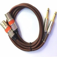 Cặp Dây Jack  chuyển đổi tín hiệu Canon Đực ra 6ly 1m