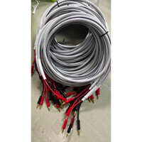 Cặp dây loa Audioquest bãi Mỹ đầu bắp chuối