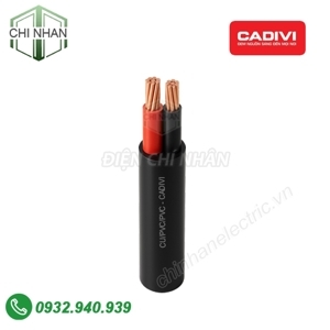 Cáp điện Cadivi CVV-2x60