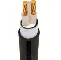 Cáp điện Cadivi CXV-2x16mm2, 0.6/1kV