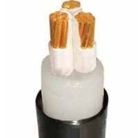 Cáp điện Cadivi CXV-3x10mm2, 0.6/1kV