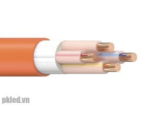 Cáp điện chậm cháy Cadivi CXV/FRT-2×10
