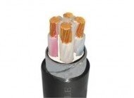 Cáp điện CXV-4x50 - 0.6/1kV