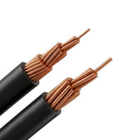 Cáp Điện Đơn Hạ Thế Trần Phú CV (Cu/PVC) Lõi Đồng