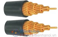 Cáp điện đơn Trần Phú CV Cu-PVC 1x10 0,6-1kV