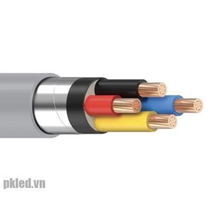 Cáp điện kế 2 lõi 0.6/1kV CADIVI CV DK-CVV-2×10