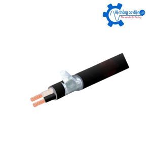 Cáp điện kế Cadivi DK-CVV-2×4