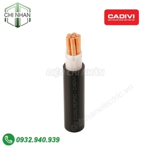 Cáp điện lực 1 lõi CXV-1R-600V CADIVI CV CXV-60