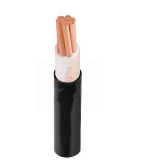 Cáp điện lực 1 lõi CXV-1R-600V CADIVI CV CXV-8