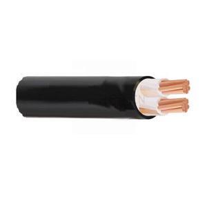 Cáp điện lực 2 lõi CXV-2R-600V CADIVI CV CXV-2×8