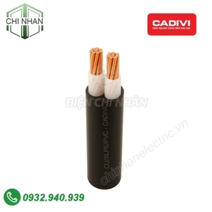 Cáp điện lực 2 lõi CXV-2R-600V CADIVI CV CXV-2×5.5