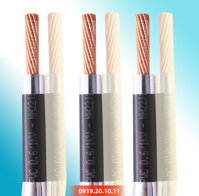 CÁP ĐIỆN LỰC ĐƠN CV 2.5