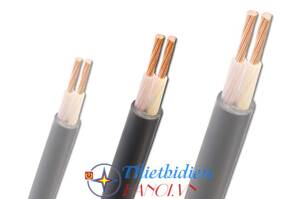 Cáp điện lực hạ thế 2 lõi 0.6/1kV CADIVI CV CXV-2×50