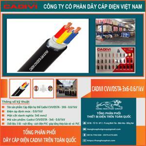 Cáp điện lực hạ thế có giáp bảo vệ 3 lõi 0.6/1kV CADIVI CV CVV/DSTA-3×6