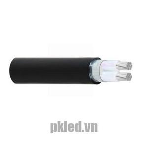 Cáp điện lực hạ thế có giáp bảo vệ 2 lõi cách điện PVC 0.6/1kV CADIVI CV AXV/DSTA 2×300