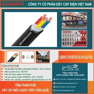 Cáp điện lực hạ thế có giáp bảo vệ 3 lõi 0.6/1kV CADIVI CV CVV/DSTA-3×10