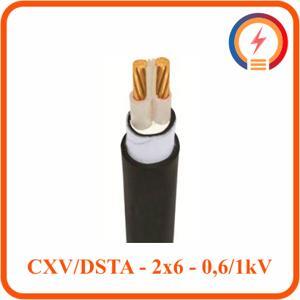 Cáp điện lực hạ thế có giáp bảo vệ 2 lõi 0.6/1kV CADIVI CV CXV/DSTA-2×6