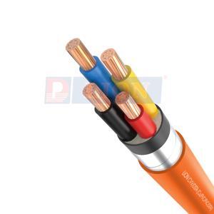 Cáp điện lực hạ thế có giáp bảo vệ 2 lõi 0.6/1kV CADIVI CV CVV/DSTA-2×50