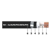Cáp điện ngầm 2 lõi 0.6/1Kv – CU/XLPE/PVC/DSTA/PVC (25-120mm) HS
