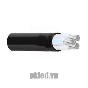 Cáp điện nhôm Cadivi AXV-3×70 -0.6/1kV