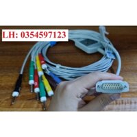 Cáp điện tim cho máy điện tim 3 cần CONTEC - ECG 300G | 6 cần - ECG 600G | 12 cần ECG 1200G