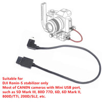 Cáp điều khiển đa Camera MCC sang Mini USB Ronin-S cho DJI Ronin S & Canon 5D Mark III / 6D II / 80D 77D 800D như MCC-Mini