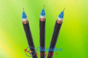 Cáp điều khiển không màn chắn Cadivi DVV-5x6