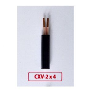 Cáp đồng 2 ruột cách điện XLPE vỏ PVC Cadisun CS CXV 2×70