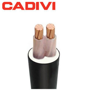 Cáp đồng 2 ruột cách điện XLPE vỏ PVC Cadisun CS CXV 2×25