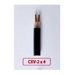 Cáp đồng 2 ruột cách điện XLPE vỏ PVC Cadisun CS CXV 2×50