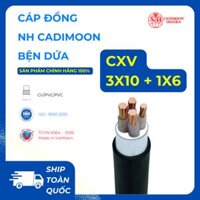 Cáp Đồng CXV 3×10 + 1×6 (  Cáp Treo Bện Dứa ) NH-CADIMOON