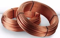 Cáp Đồng Trần 50mm2