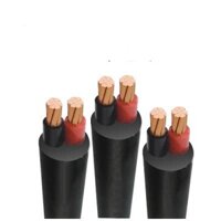 Cáp đồng treo Trần Phú CXV 2x10