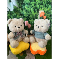 cặp gấu bông 30cm (giá cho 1cặp 2bé)