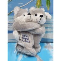 Căp gấu teddy