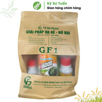 Căp GF1 công ty Global Ffarm  ra rễ nở bụi cặp 3 chai