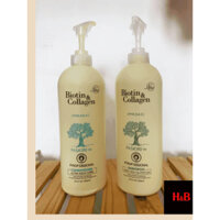 Cặp gội xả Biotin & Collagen giúp làm sạch và kích thích mọc tóc 1000ml ( tặng lược massage da đầu)