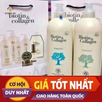 Cặp Gội Xả Biotin Collagen Trắng 500ml-1000ml | Giảm Rụng Tóc, Phục Hồi Tóc Khô Xơ - Mỹ Phẩm Tùng Linh