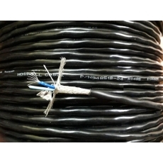 Cáp Hosiwell chống nhiễu 1 Pair 24AWG 94851B-24