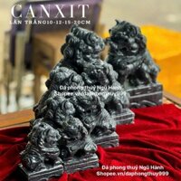 Cặp lân đá, sư tư trắng & đen xám đá Canxit tự nhiên 100% - Cao 10cm - 20cm