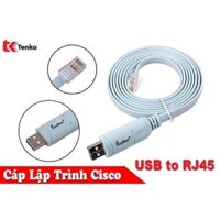 Cáp Lập Trình Cisco - Console USB To RJ45