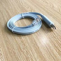 Cáp lập trình điều khiển Switch Cisco Console USB Cable Connect Serial Port