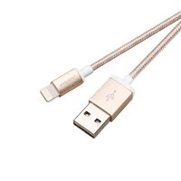 CÁP LIGHTNING PISEN 1M AL06-1000